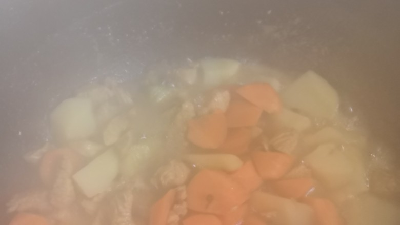 鸡肉土豆块,土豆和鸡胸稍炖后放入胡萝卜