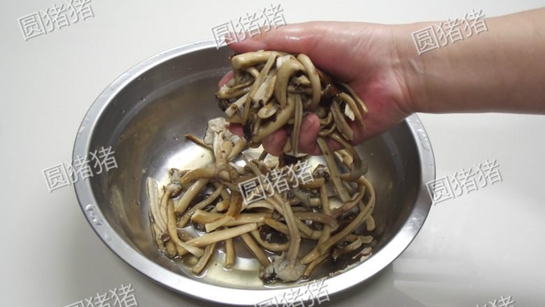 干锅茶树菇,用凉水过凉茶树菇，用手将茶树菇挤干水份。