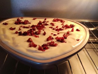 蔓越莓戚风蛋糕 酸甜绵柔,撒上蔓越莓碎，震出大气泡，放入预热好的烤箱，上下火135度烤55分钟。