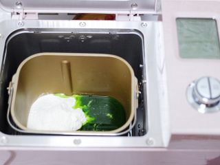 圆白菜扇贝翠玉饺子,把称重的面粉放入面包桶里，倒入菠菜汁。