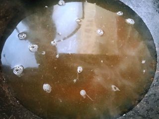 虾仁时蔬面,锅中倒入适量清水再添一品鲜酱油和蚝油烧开