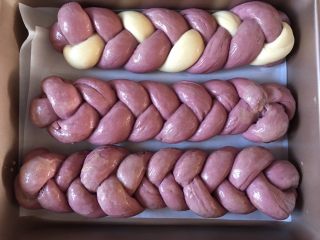 紫薯面包,刷蛋液