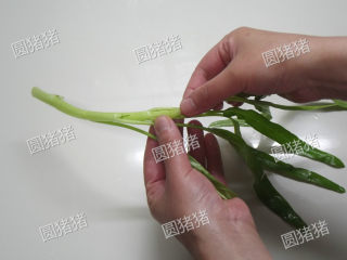 椒丝腐乳炒通菜,通菜用手择成段，尽量让每一段都有叶子。