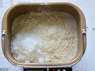 鲜奶吐司,按照先液体，后粉类，上层糖、盐的顺序放入面包桶中（冬天天气冷了，需要把

酵母先用液体化开）