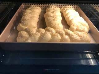 烫种辫子面包,把烤盘放入预热好的烤箱中，160度烤20分钟即可。