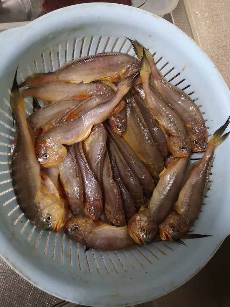 蒜蓉豆豉梅童鱼（梅子鱼）,去里面的肠子，鱼鳃