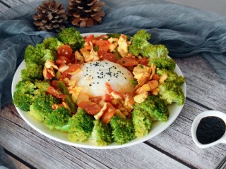 西兰花番茄炒鸡蛋盖浇饭,既营养，又美味，开吃啦！