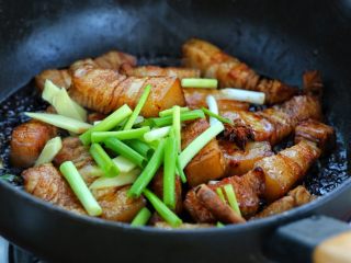 红烧肉炖萝卜,放入葱段、姜片、八角和桂皮，翻炒出香味