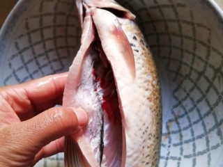 粉葛鲮鱼汤,鲮鱼让人家杀好，回来自己再检查鱼鳞、鱼鳃是否清理干净，以及鱼肚子里面这一层黑膜一定要刮掉，用水冲洗鱼身。