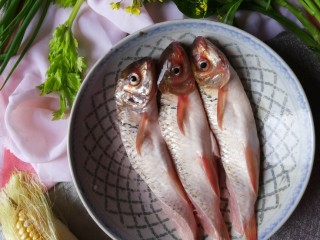 豉汁蒸鲮鱼腩,鲮鱼腩买回来清理干净鱼鳞、鱼鳃，刮干净肚子里的黑膜，用清水冲洗干净，沥干水分。