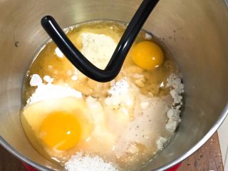 喜饼+蓝莓味,倒入鸡蛋，清水加温至37度，放入发酵粉孵化，再倒入厨师机。