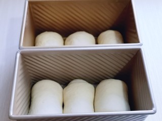 中种豆沙吐司面包图片中种豆沙吐司面包,中种豆沙吐司面包,放入吐司模具中。（我的模具450g）,第19张