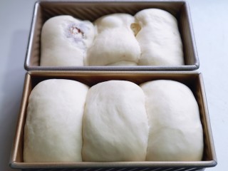 中种豆沙吐司面包图片中种豆沙吐司面包,中种豆沙吐司面包,发酵至9分满。,第21张