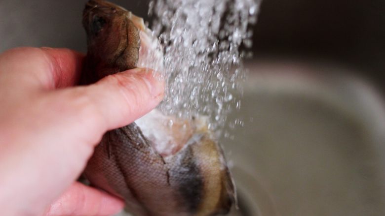 补脑养生的清蒸比目鱼,把清除干净的比目鱼用清水冲洗干净后。