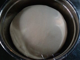 手撕肉松面包,把面团团圆，放在较大的容器内，覆盖保鲜膜，放在温暖处发酵，面团发至原来的两倍大即可