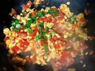 番茄鸡蛋拌意面,最后炒好的番茄鸡蛋放入味精再撒上香菜碎翻炒入味即可出锅享用