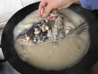 鱼头汤,加入蘑菇