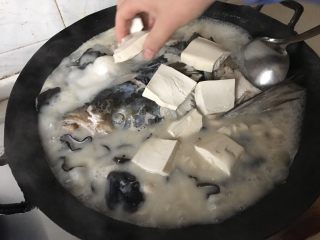 鱼头汤,放入豆腐。盖上锅盖，炖煮10分钟