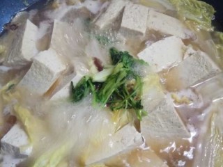 白菜（娃娃菜）豆腐汤,放香菜