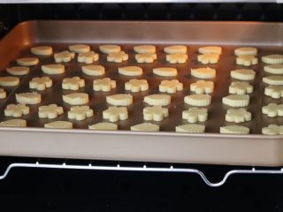 南瓜奶片,烤箱60-70度提前预热，将奶片放入，烘烤1小时即可