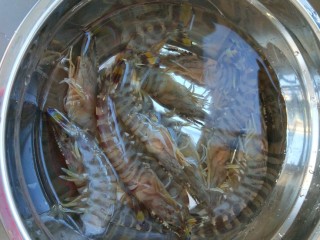 新文美食  凤还巢,九节虾放入盆中解冻。
