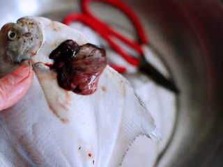 酱焖海鲳鱼,用厨房剪子把鲳鱼的肚子剪开，把鲳鱼的内脏清除干净。