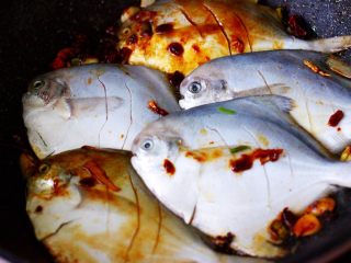 酱焖海鲳鱼,把所有的鲳鱼都放入锅中后。