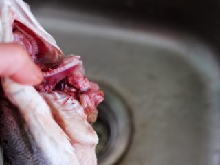 鲜美无比的粤式清蒸鲈鱼,这个时候去除鲈鱼的内脏，不要留有杂质。