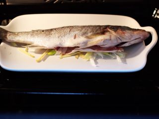 鲜美无比的粤式清蒸鲈鱼,把收拾好的鲈鱼放到蒸烤箱里面。