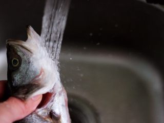 鲜美无比的粤式清蒸鲈鱼,去除杂质的鲈鱼，用自来水冲洗干净，注意一定要把鱼肚里面的血液和杂质洗净。