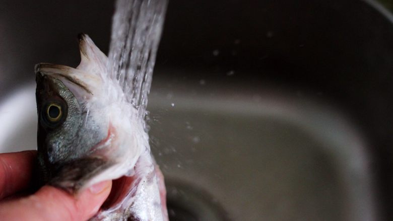 鲜美无比的粤式清蒸鲈鱼,去除杂质的鲈鱼，用自来水冲洗干净，注意一定要把鱼肚里面的血液和杂质洗净。