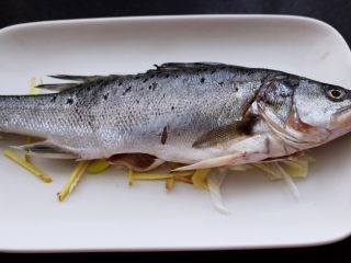 鲜美无比的粤式清蒸鲈鱼,把冲洗干净的鲈鱼铺到盘子上面。