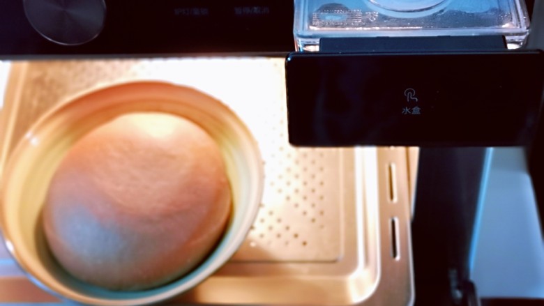 可可酸奶吐司面包,将面团入蒸烤箱进行发酵。(放入烤箱发酵也可以，记得放一碗开水)