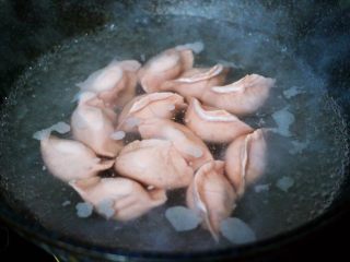 白菜海虹肉丁饺子,锅中倒入适量的清水烧开后，把包好的饺子放入锅中。
