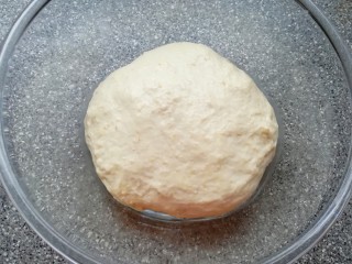 燕麦全麦羊角包,揉好的面团从面包机里取出整形，发酵至两倍大。