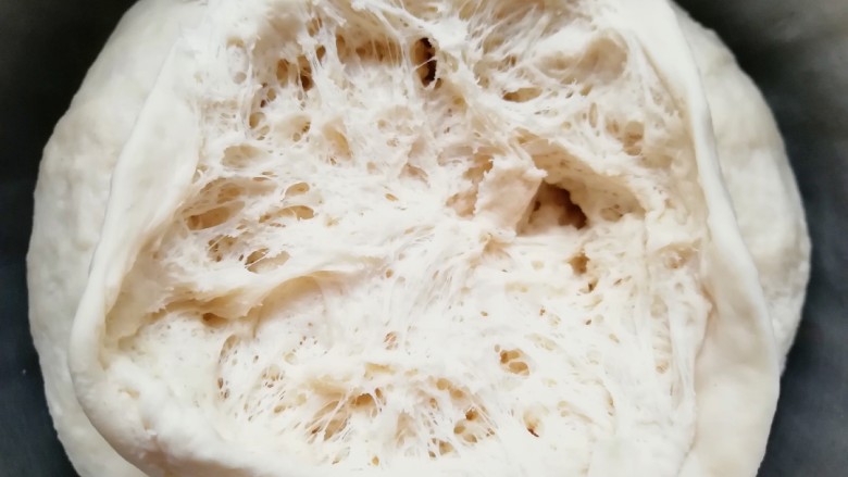 燕麦全麦羊角包,看看发酵好的中种面团:面团从中间扒开，里面呈蜂窝状，说明面团发酵的很好。