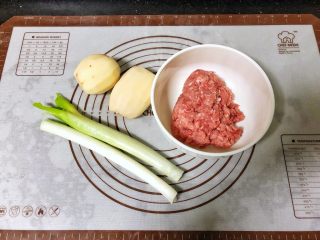 红红火火金鱼蒸饺,1、首先制作肉馅儿，准备好所用的材料。