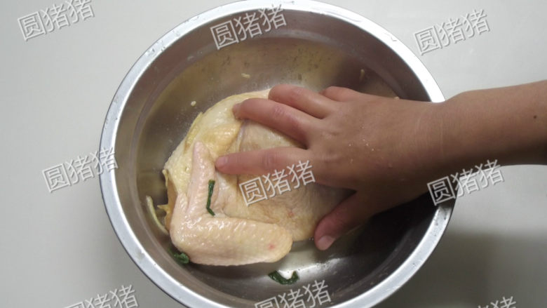 皮香肉嫩——简易版盐锔鸡,用手将鸡全身涂满调味料，并用手给鸡做按摩10分钟，让调味料能充份的吸收进去。
