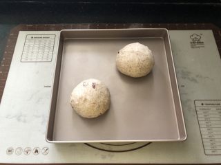 蔓越梅花生黑麦软欧包,9、码入烤盘进行二次发酵。