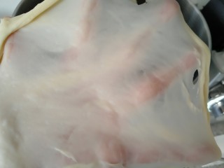 手撕海苔肉松面包,继续揉制成光滑面团 可以拉出手套膜即可。