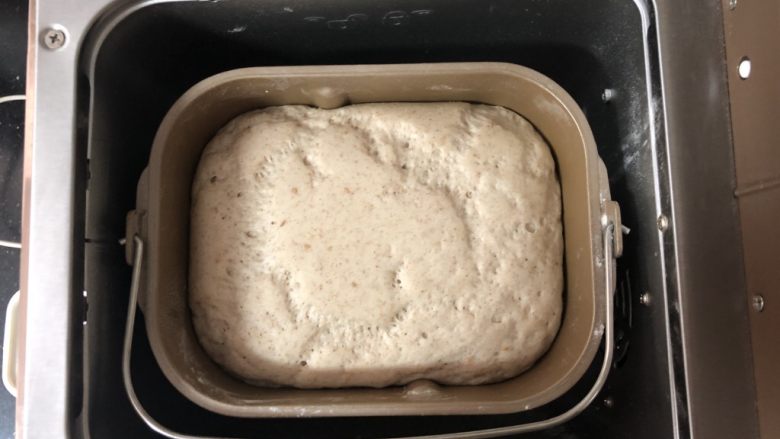 好吃到爆的杂粮萝卜肉包子,直接在面包机中启动发酵功能，发酵至二到三倍大，大约需要一个小时左右。