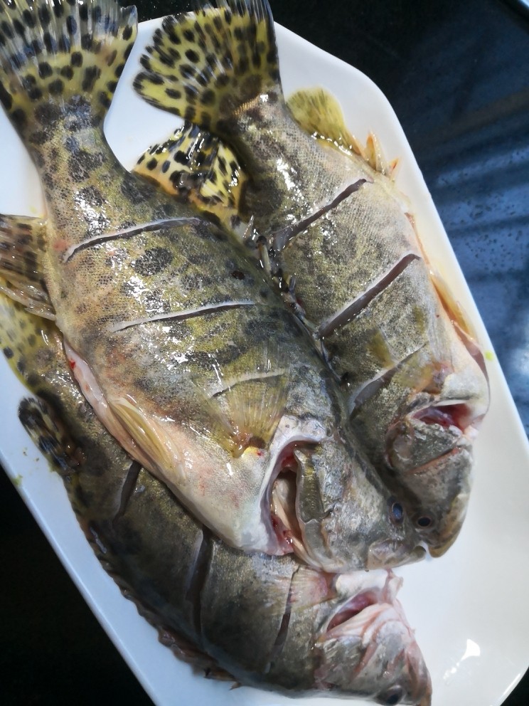 排骨鳜鱼粉皮煲,鳜鱼杀好。在两面分别滑划三刀，洗净粘液，沥干。