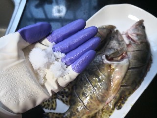 排骨鳜鱼粉皮煲,取三分之二的盐，将鱼内外抹匀。