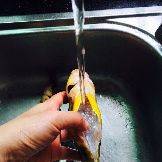 黄刺鱼炖豆腐,将黄刺鱼清洗干净
