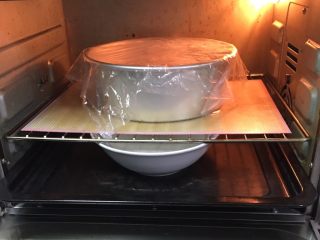 蔓越梅黑麦奶油软欧包,烤箱发酵档，模具送入烤箱，底部放一碗热水，发酵60分钟。