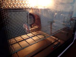  北海道咸吐司,12.放入预热好的烤箱170度35分钟结束取出晾凉密封保存即可