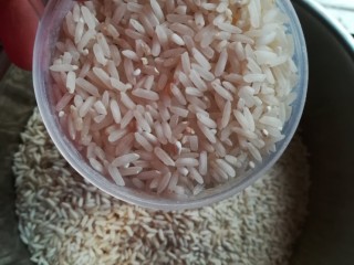 五彩缤纷饭,粳米，加点粳米不会太腻，更好吃，也可以不加