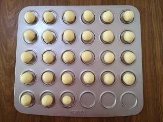 脆脆的奶香椰蓉球,团成圆形，放置于学厨烤盘上。烤箱预热，上火175度，下火170度。