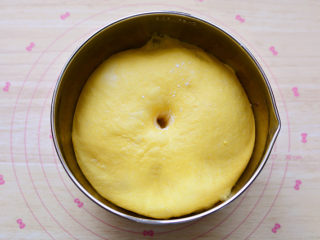 南瓜排包,揉好的面团，放在盆中盖保鲜膜进行基础发酵，面团发酵到1.5-2倍大，手指沾面粉戳一个洞，不回缩、不塌陷，发酵完成。