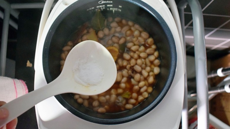 水煮花生米（电饭煲版）,再加入适量的食盐。并用勺子搅拌均匀，盖上盖子，继续煮20分钟。